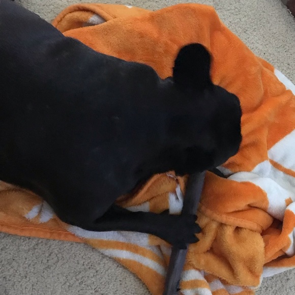 Meet your Posher, Debi - Picture 11 of 15